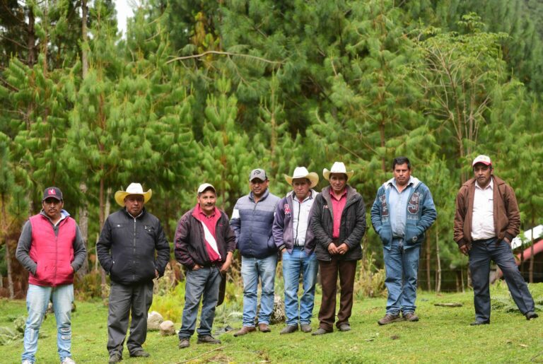 Descubre la Importancia del Comisariado Ejidal y Quiénes lo Conforman 13 Descubre la Importancia del Comisariado Ejidal y Quiénes lo Conforman