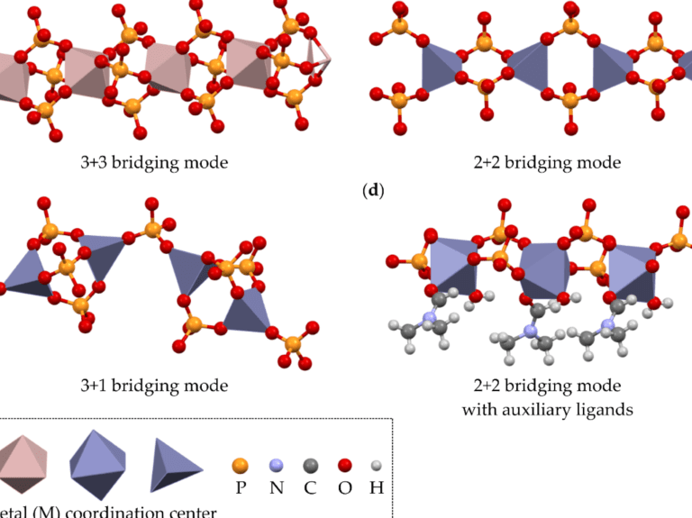 La Importancia del Artículo 14 Bis en la Constitución: Incorporación y Significado 16 La Importancia del Artículo 14 Bis en la Constitución: Incorporación y Significado