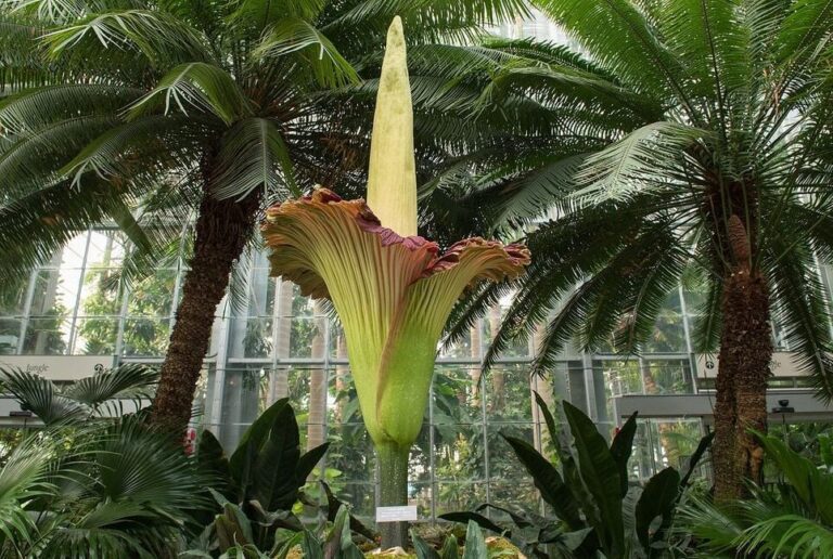 La ciencia de la conservación: Métodos innovadores para preservar cadáveres en seco 3 La ciencia de la conservación: Métodos innovadores para preservar cadáveres en seco