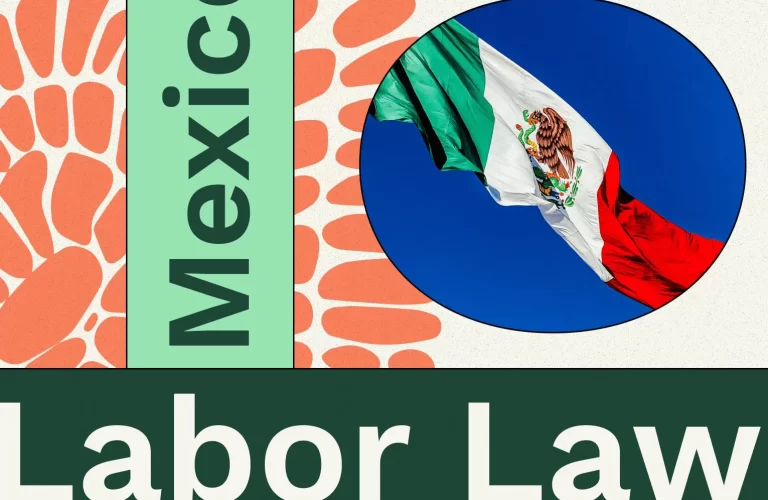 Los Elementos Clave de una Norma Oficial Mexicana: ¿Qué Debes Saber? 17 Los Elementos Clave de una Norma Oficial Mexicana: ¿Qué Debes Saber?