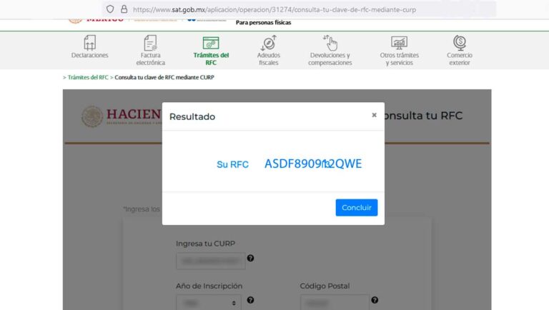 Cómo consultar tu RFC con la CURP en línea 8 Cómo consultar tu RFC con la CURP en línea