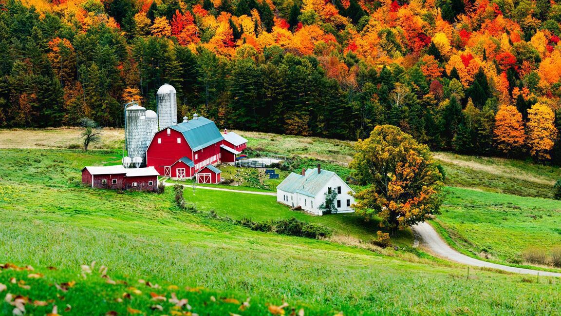 Todo sobre el IBI en terrenos rústicos: evita sorpresas fiscales 1 rural landscape with tax documents and money